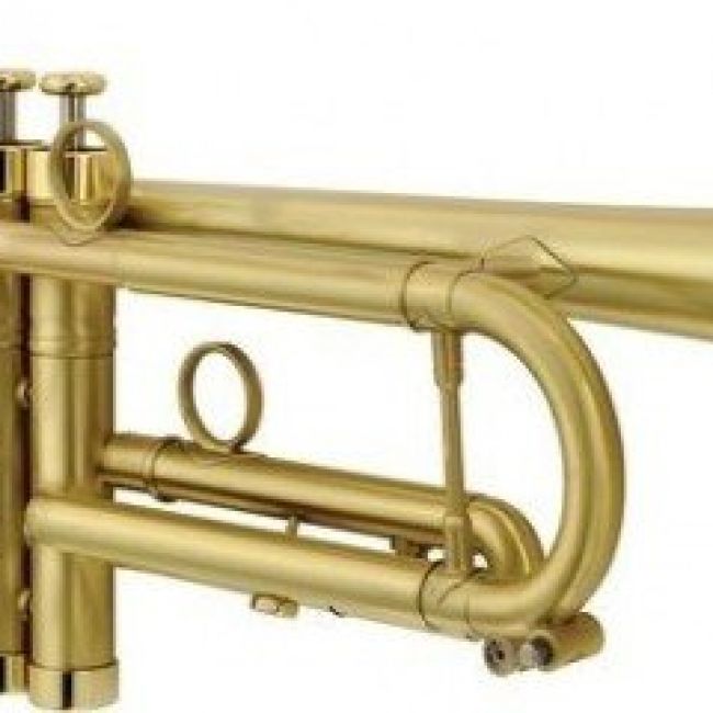 Trompeta