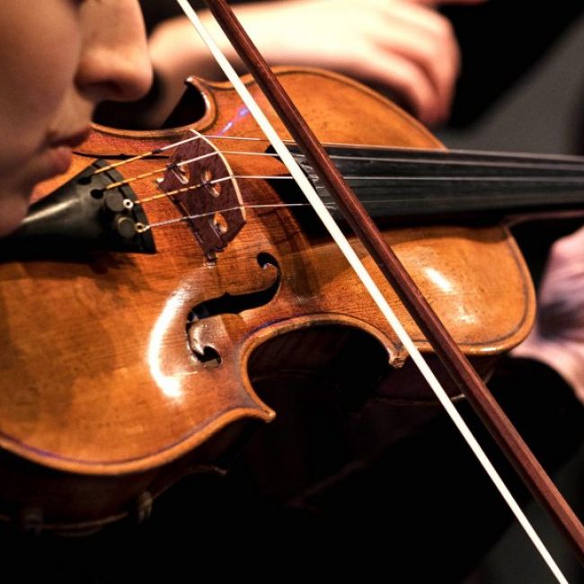 Viola