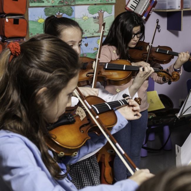 Violín