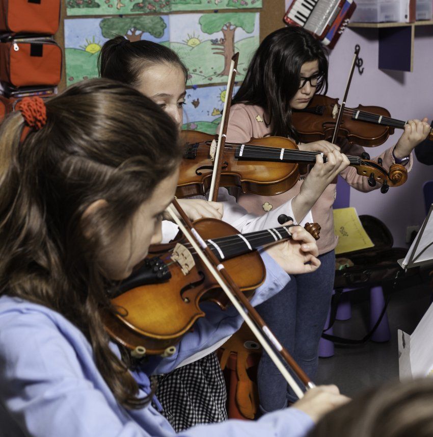 Violín