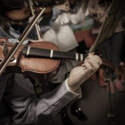 MÚSICA